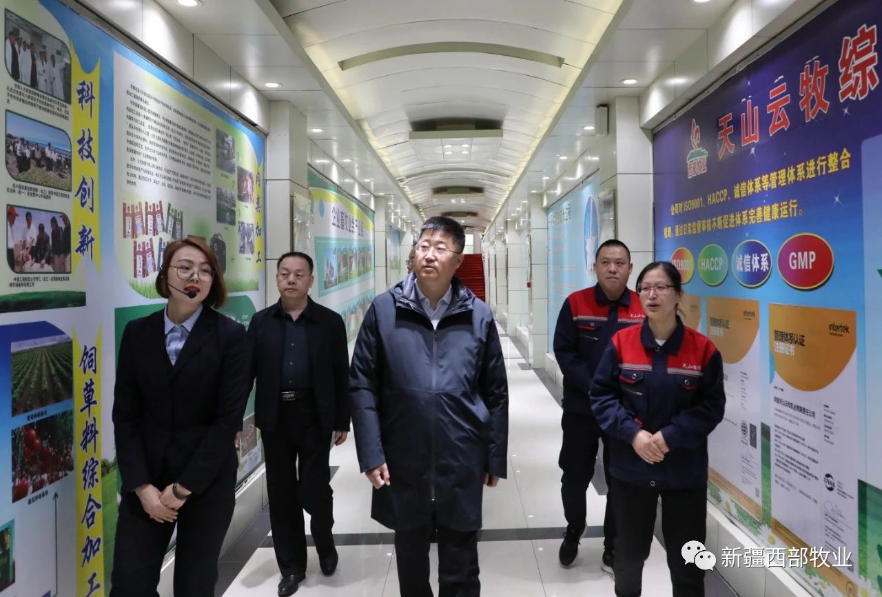 八師石河子市黨委常委、八師副師長(zhǎng)趙日強(qiáng)到天山云牧公司調(diào)研